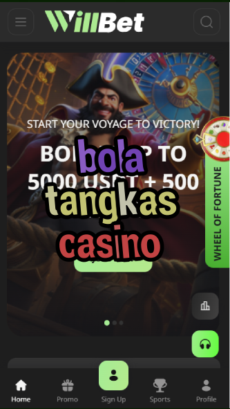 bola tangkas casino-asdasdzhjkds.com